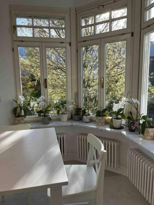 Laurelia Suites Merano Extérieur photo